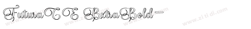 FuturaCE BxtraBold字体转换